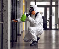 Why You Should Choose Our Mold Remediation Services in Payson, IL